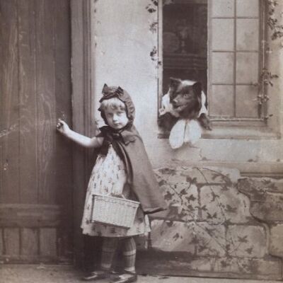 Young audience